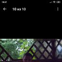 ���� ������, ������, 43 ���� - ��������� 4 ������� 2025 � ������ ���� ����������