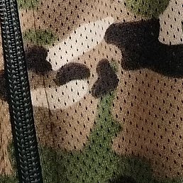 ������, ��������, 38 ���