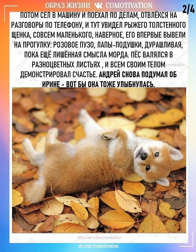  - 2