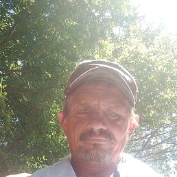 , 43 , 