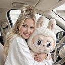 ���� Fox, ����� - ��������� 3 ���� 2026 � ������ ���� ����������