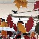 ���� ��������, ������, 50 ��� - ��������� 15 ������ 2023 � ������ ���� ����������