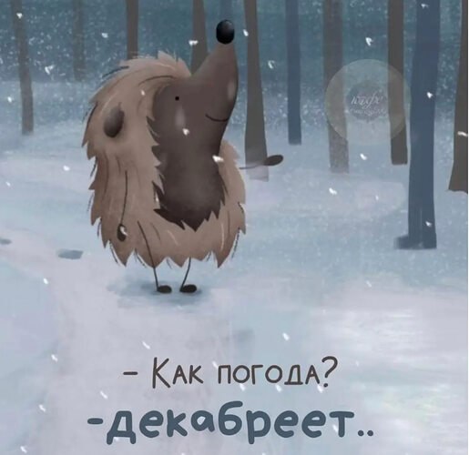 �� ����� ������! - 27 ������ 2025 � 15:44