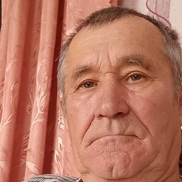 �����, ����, 74 ����