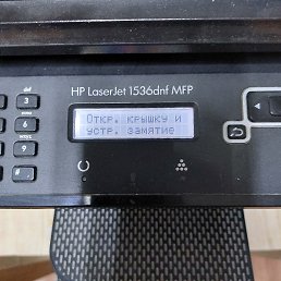 ����, ���������, 44 ����