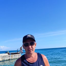 ������, 41 ���, ���������