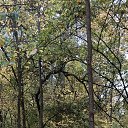 ���� ����, ������, 39 ��� - ��������� 5 ������ 2026 � ������ ���� ����������