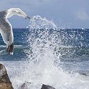 ���� ������, ����, 69 ��� - ��������� 25 ������ 2026 � ������ ������ ��������