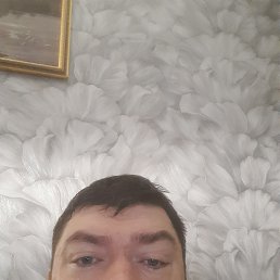 �������, 38 ���, ������