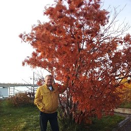 ���������, ������, 57 ���