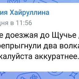 ���, ������, 56 ���