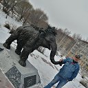 ���� �����, �����������, 55 ��� - ��������� 6 ������ 2023 � ������ ���� ����������