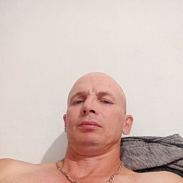 , 41 , 