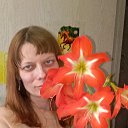 ���� ������, ������, 41 ��� - ��������� 24 ���� 2026 � ������ ���� ����������
