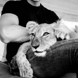 �����, �����������, 38 ���