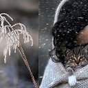 ���� �������, ��������� - ��������� 28 ������ 2025 � ������ ������ ��������