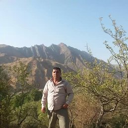 ����, �����-���������, 52 ����