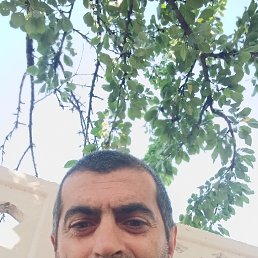 Armen Aleksanyn, 42 ����, ������