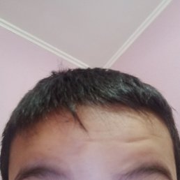 ����, ������, 37 ���