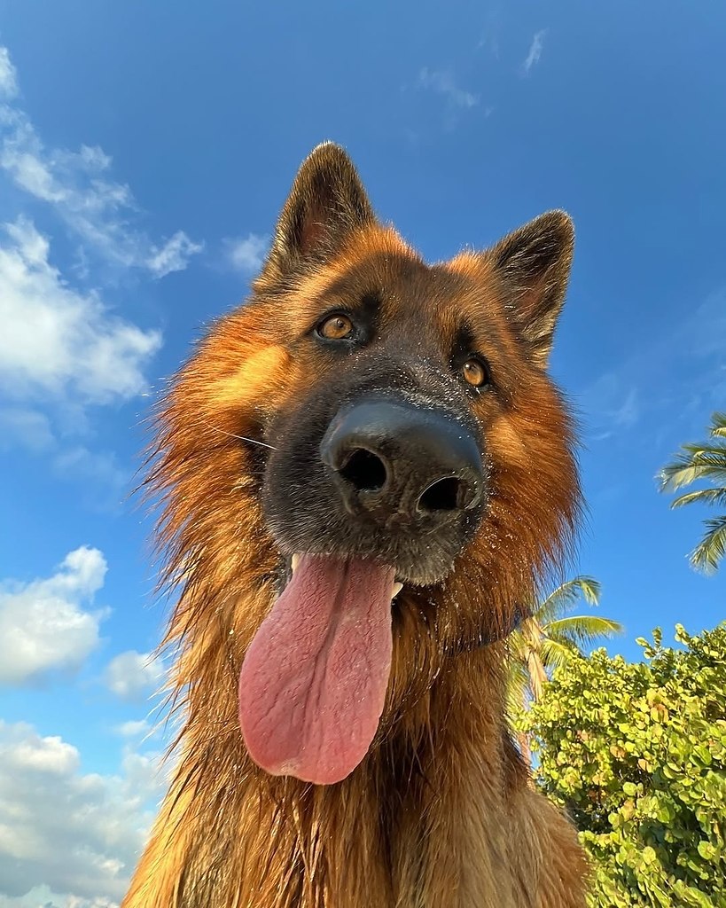 ��� ��� ������� ���� �� ����� - 2