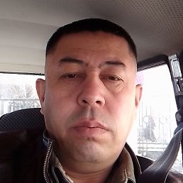 ����, �������, 40 ���