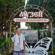 ������, 59 ���, ������