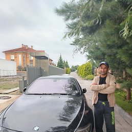  , 41, 