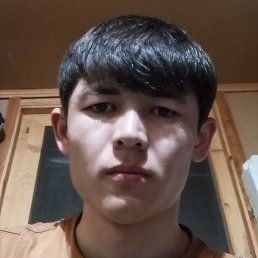 Alisher, ������, 25 ���