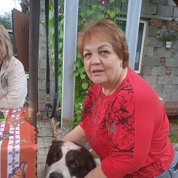 , 65,  