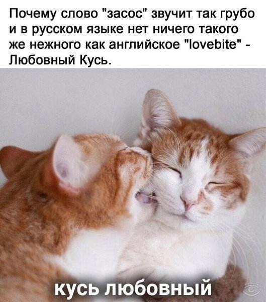   - 15  2024  05:57