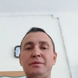 ������, 43 ����, ����