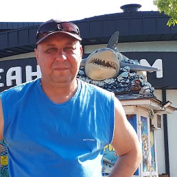 , 53,  