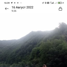 ���� �����, ������, 38 ��� - ��������� 26 ������ 2024