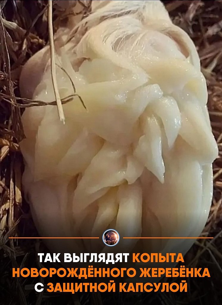 � �a���e� �p� po��e��� �a �o���a� ec�� ����a� po�o�a� ��a�� � ��c��e��a� �a�c��a. ��a c����� ...