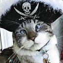 ���� �������, ������, 41 ��� - ��������� 9 ������ 2025