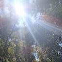 ���� ������, ���������, 63 ���� - ��������� 25 ������� 2024 � ������ ���� ����������