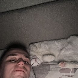 �������, 26 ���, ���������