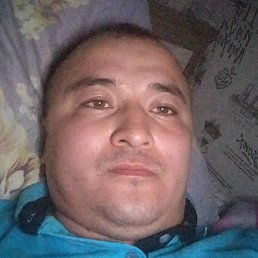 �����, ������, 37 ���