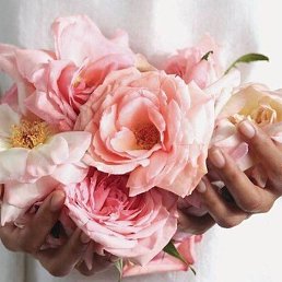 N N *, �����-���������, 54 ����