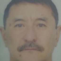 �������, ������, 61 ���