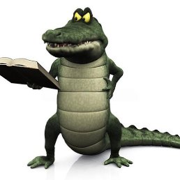 ����, ���������, 41 ���