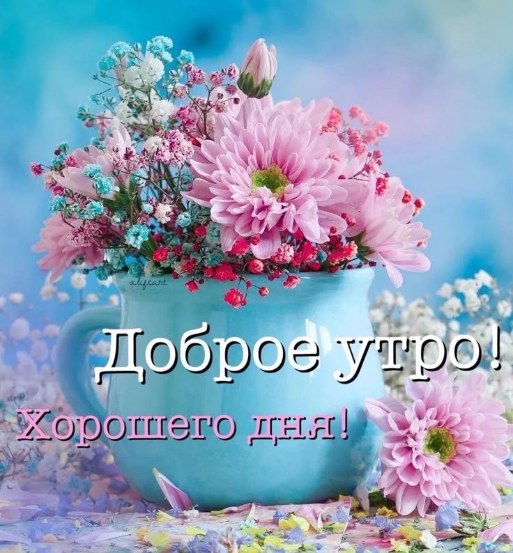   - 14  2025  07:57