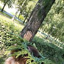 ���� ���, �������, 51 ��� - ��������� 21 ������� 2024 � ������ ���� ����������