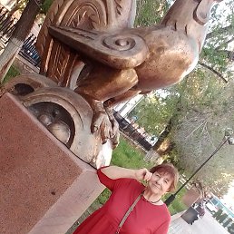 , 55, 