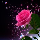 ���� ����, �������, 70 ��� - ��������� 27 ������� 2024 � ������ ������ ��������