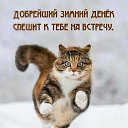 ���� ������, �����������, 53 ���� - ��������� 19 ����� 2026 � ������ ������ ��������