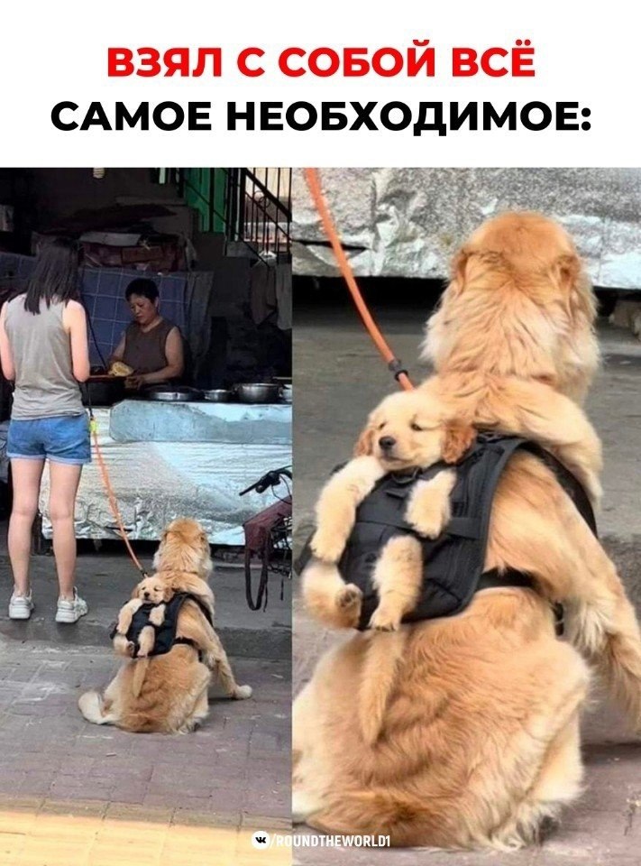   - .