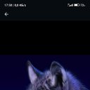 ���� ������, ���������, 23 ���� - ��������� 13 ������ 2024