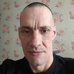 ����, ���������, 44 ����