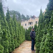 �������, 49 ���, ������